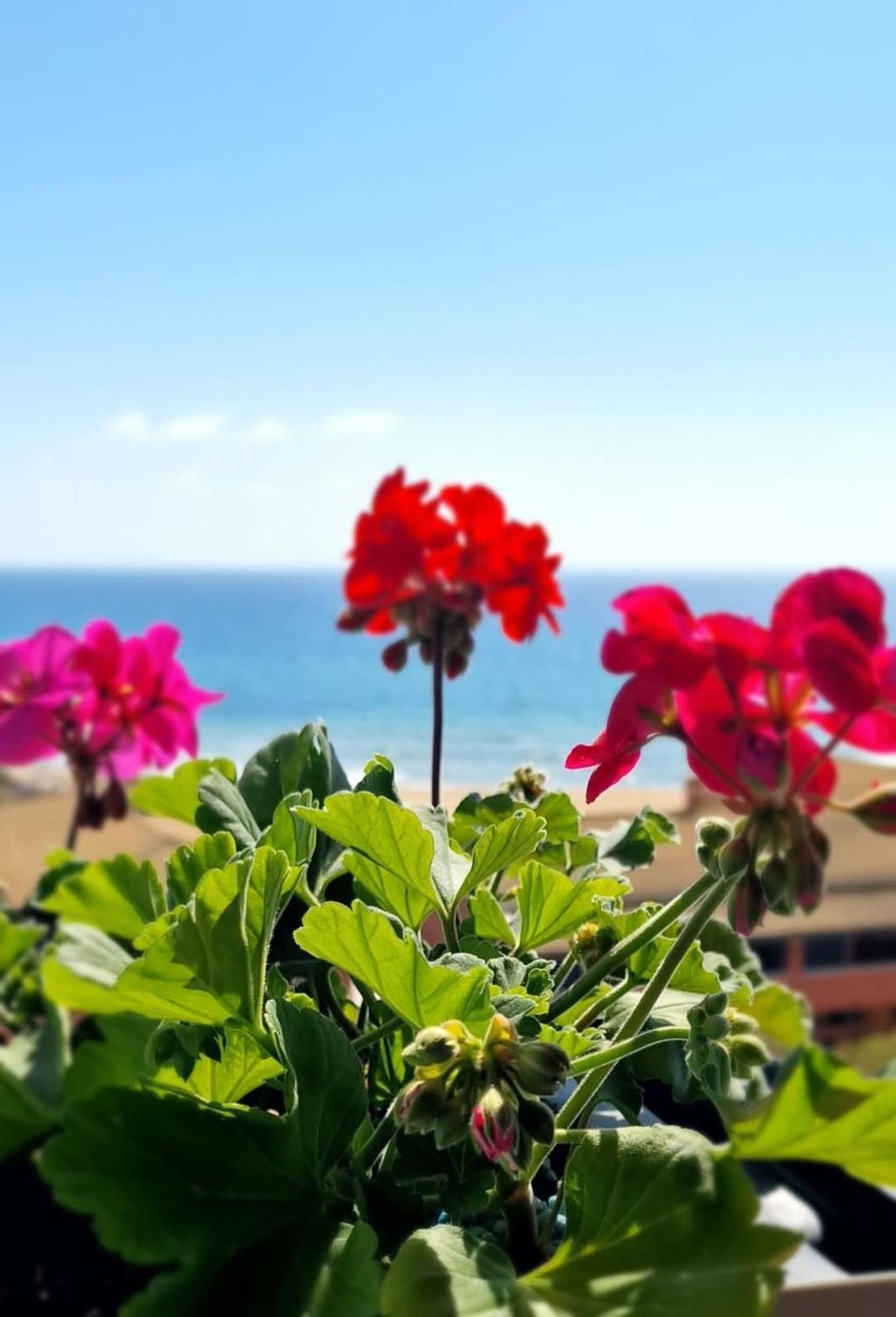 Apartmán Seablue 137 Corfu Glyfada Exteriér fotografie
